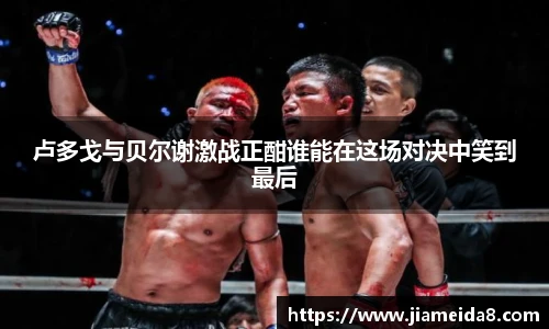 悟空体育卢多戈与贝尔谢激战正酣谁能在这场对决中笑到最后
